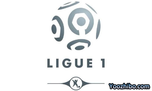 法甲联赛的赛制规则是怎样的？它的升降级制度又是如何？