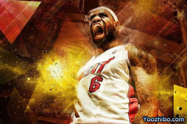 2011-12赛季NBA常规赛MVP：詹姆斯当选