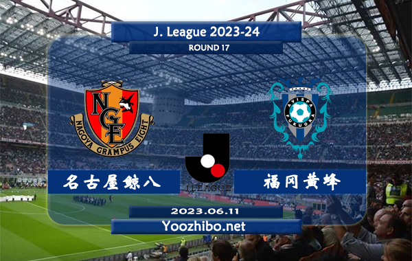 名古屋鲸八vs福冈黄蜂赛事前瞻分析：名古屋鲸八各项赛事取得3连胜